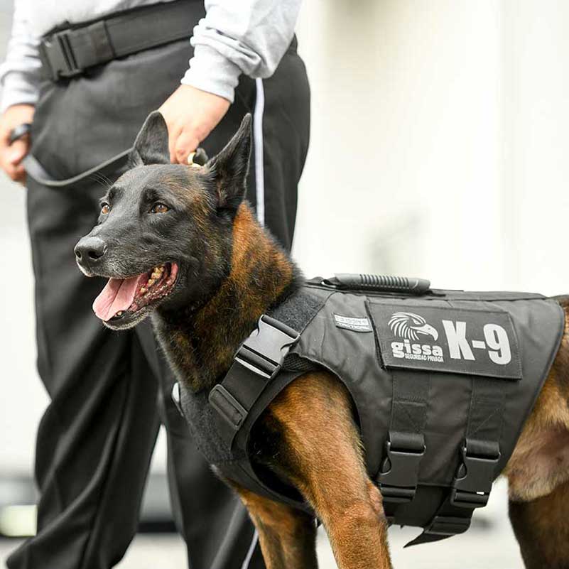 k9
